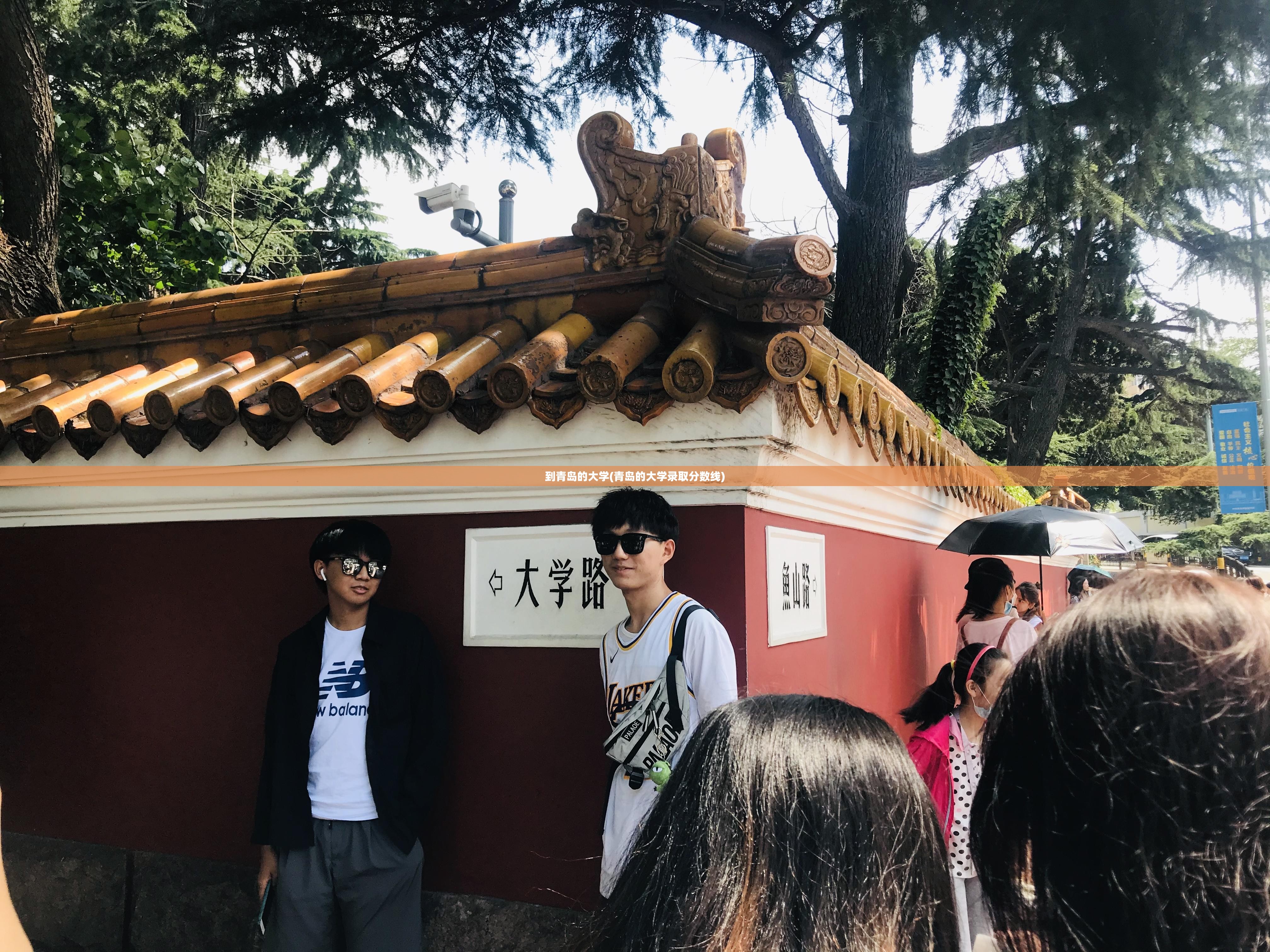 到青岛的大学(青岛的大学录取分数线) 到青岛的大学(青岛的大学录取分数线)
