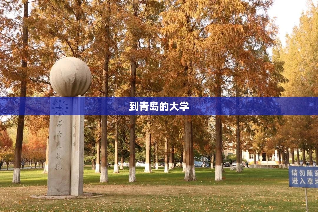 到青岛的大学(青岛的大学录取分数线) 到青岛的大学(青岛的大学录取分数线)