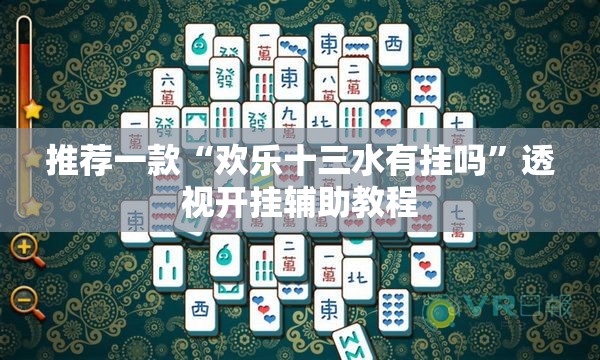 推荐一款“欢乐十三水有挂吗”透视开挂辅助教程