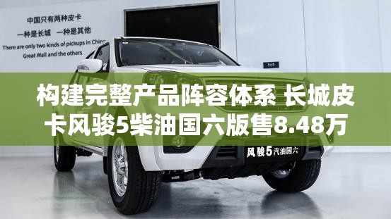 构建完整产品阵容体系 长城皮卡风骏5柴油国六版售8.48万起