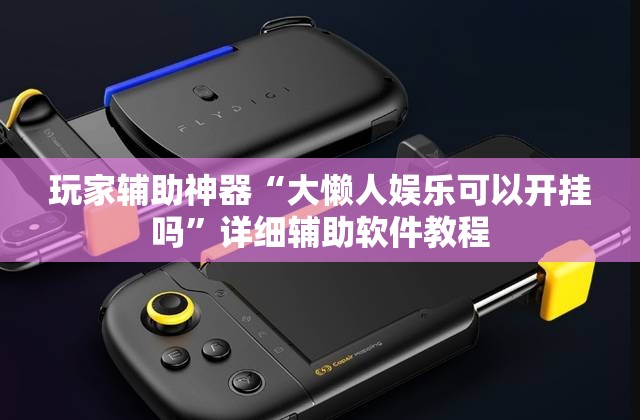 玩家辅助神器“大懒人娱乐可以开挂吗”详细辅助软件教程