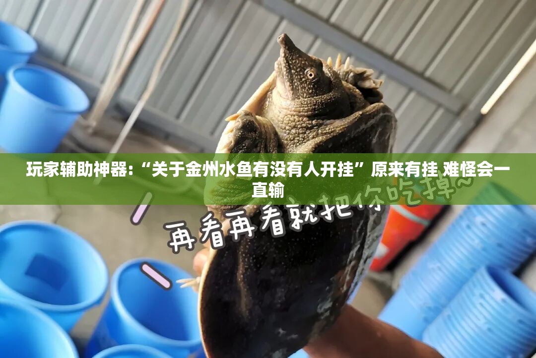 玩家辅助神器:“关于金州水鱼有没有人开挂”原来有挂 难怪会一直输