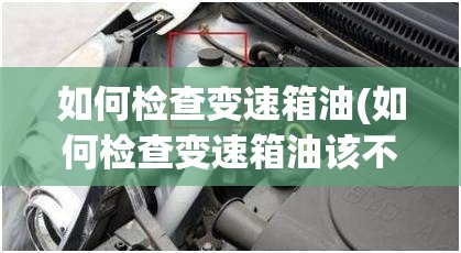 如何检查变速箱油(如何检查变速箱油该不该换)