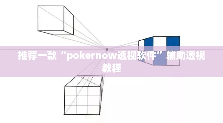 推荐一款“pokernow透视软件”辅助透视教程