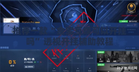 推荐一款“金宝互娱可以开挂吗”透视开挂辅助教程