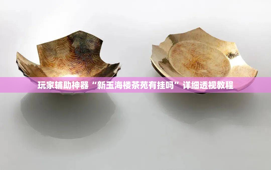 玩家辅助神器“新玉海楼茶苑有挂吗”详细透视教程