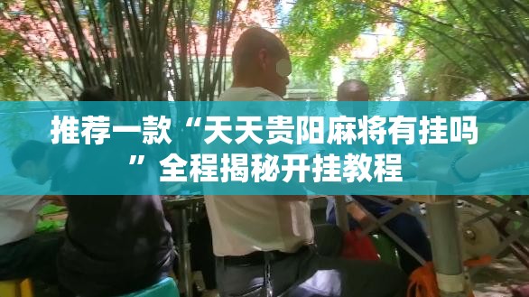 推荐一款“天天贵阳麻将有挂吗”全程揭秘开挂教程