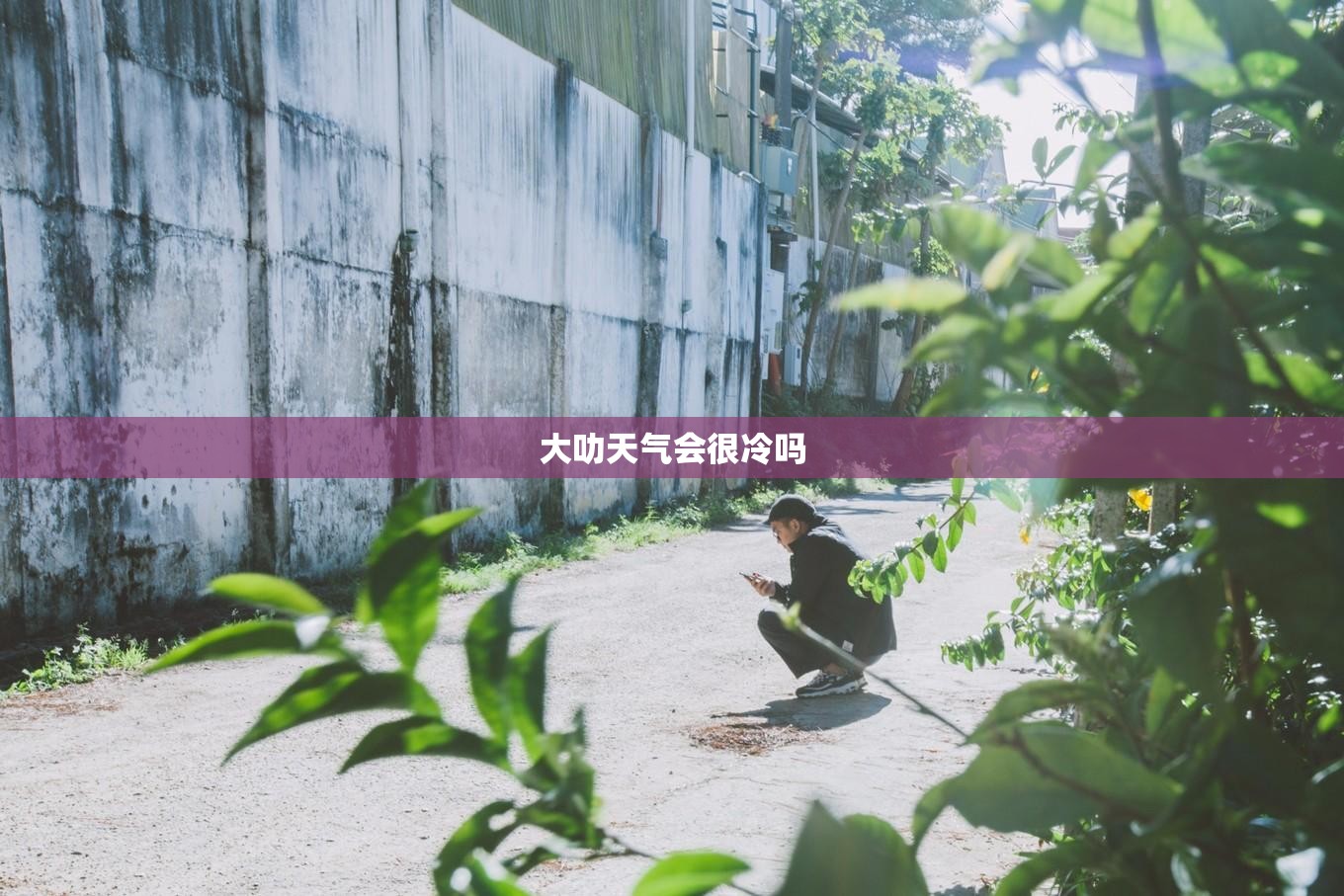 大叻天气会很冷吗