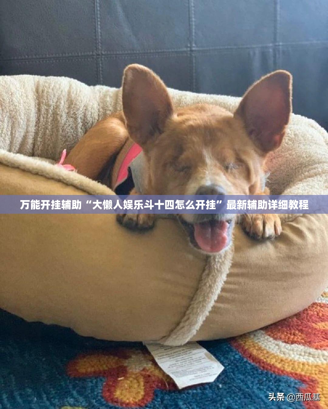 万能开挂辅助“大懒人娱乐斗十四怎么开挂	”最新辅助详细教程