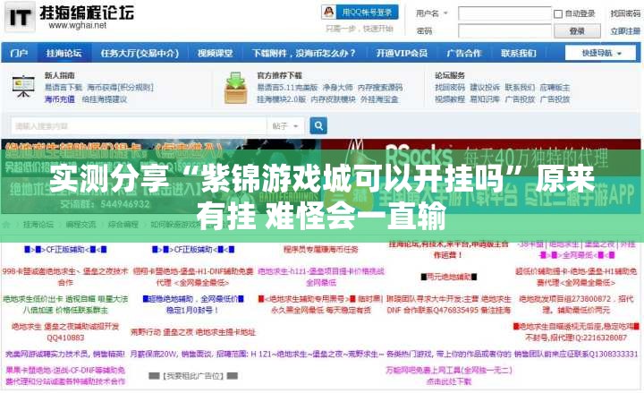 实测分享“紫锦游戏城可以开挂吗”原来有挂 难怪会一直输