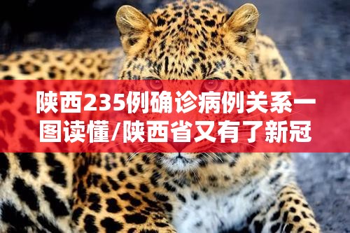 陕西235例确诊病例关系一图读懂/陕西省又有了新冠疫情 陕西235例确诊病例关系一图读懂/陕西省又有了新冠疫情