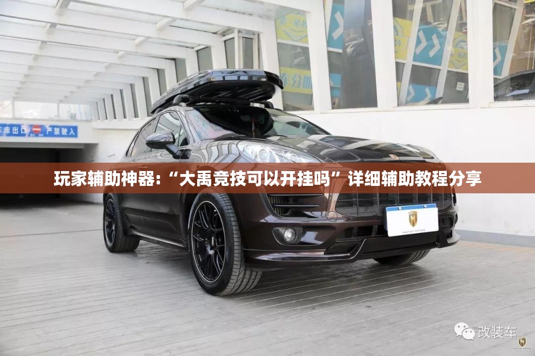玩家辅助神器:“大禹竞技可以开挂吗”详细辅助教程分享