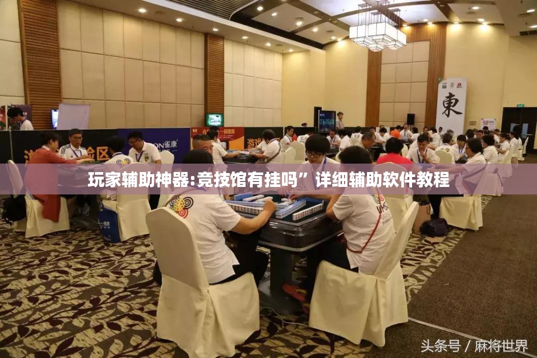 玩家辅助神器:竞技馆有挂吗”详细辅助软件教程