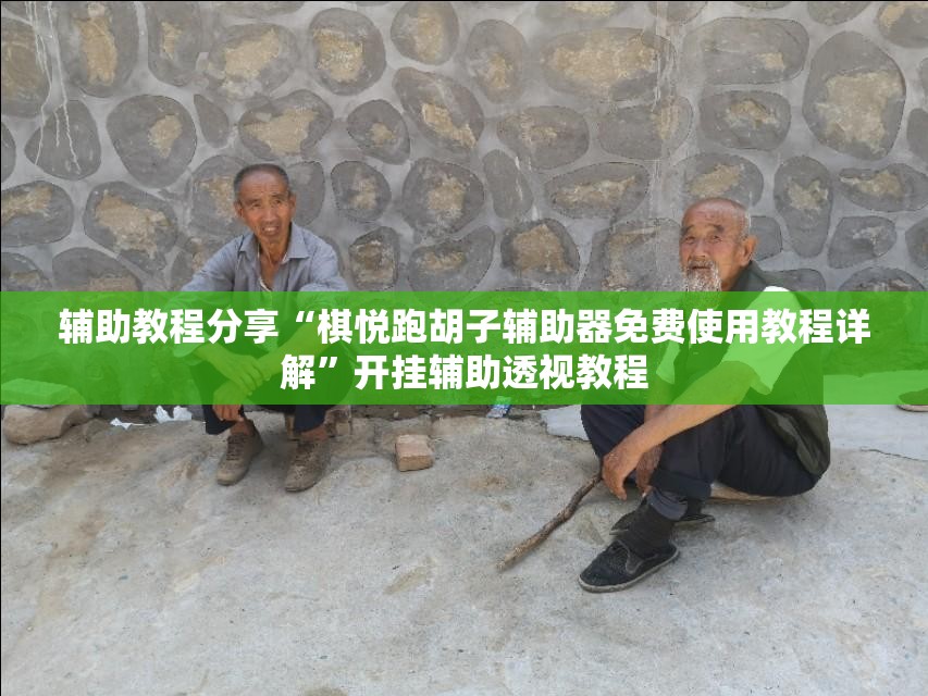 辅助教程分享“棋悦跑胡子辅助器免费使用教程详解	”开挂辅助透视教程