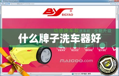 什么牌子洗车器好 什么牌子洗车器好