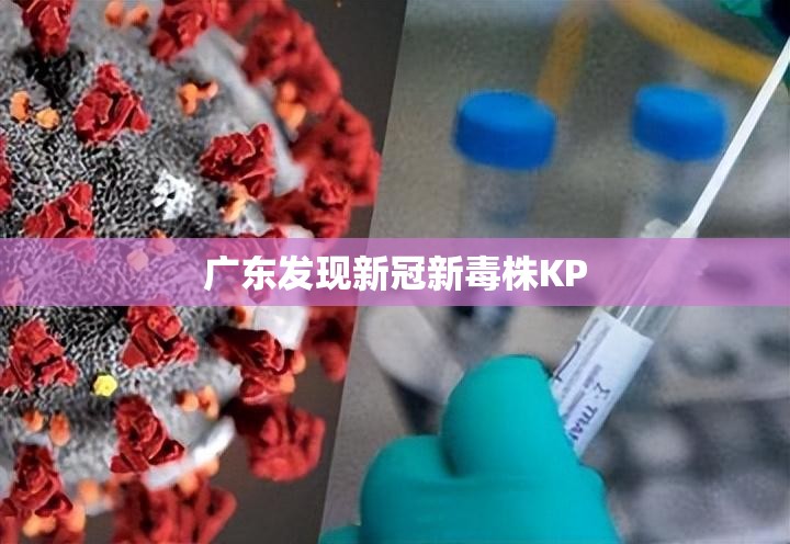 广东发现新冠新毒株KP(广东近来流行的主要毒株) 广东发现新冠新毒株KP(广东近来流行的主要毒株)
