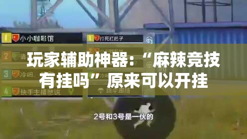 玩家辅助神器:“麻辣竞技有挂吗”原来可以开挂