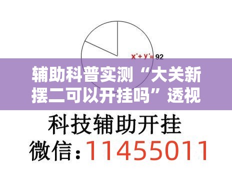 辅助科普实测“大关新摆二可以开挂吗”透视开挂辅助教程