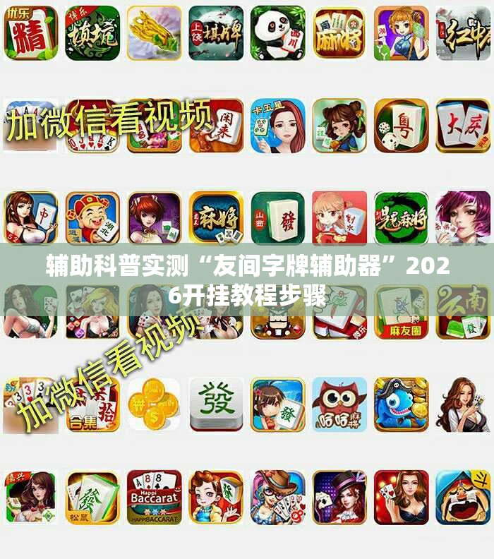 辅助科普实测“友间字牌辅助器”2026开挂教程步骤