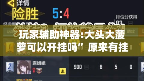玩家辅助神器:大头大菠萝可以开挂吗”原来有挂 难怪会一直输