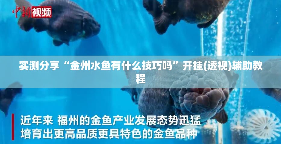实测分享“金州水鱼有什么技巧吗”开挂(透视)辅助教程