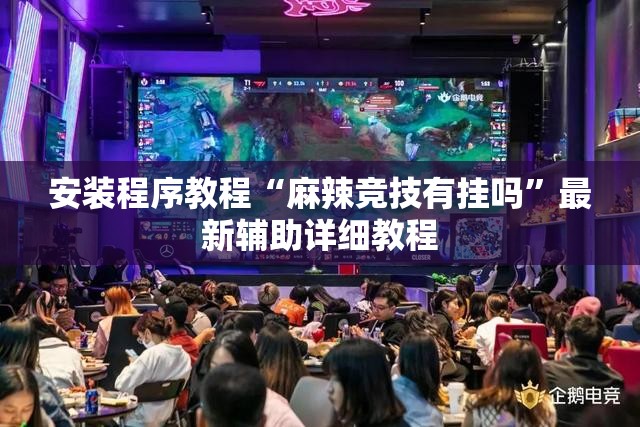 安装程序教程“麻辣竞技有挂吗”最新辅助详细教程