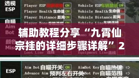 辅助教程分享“九霄仙宗挂的详细步骤详解”2026开挂教程步骤