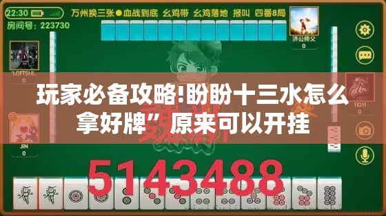玩家必备攻略!盼盼十三水怎么拿好牌	”原来可以开挂