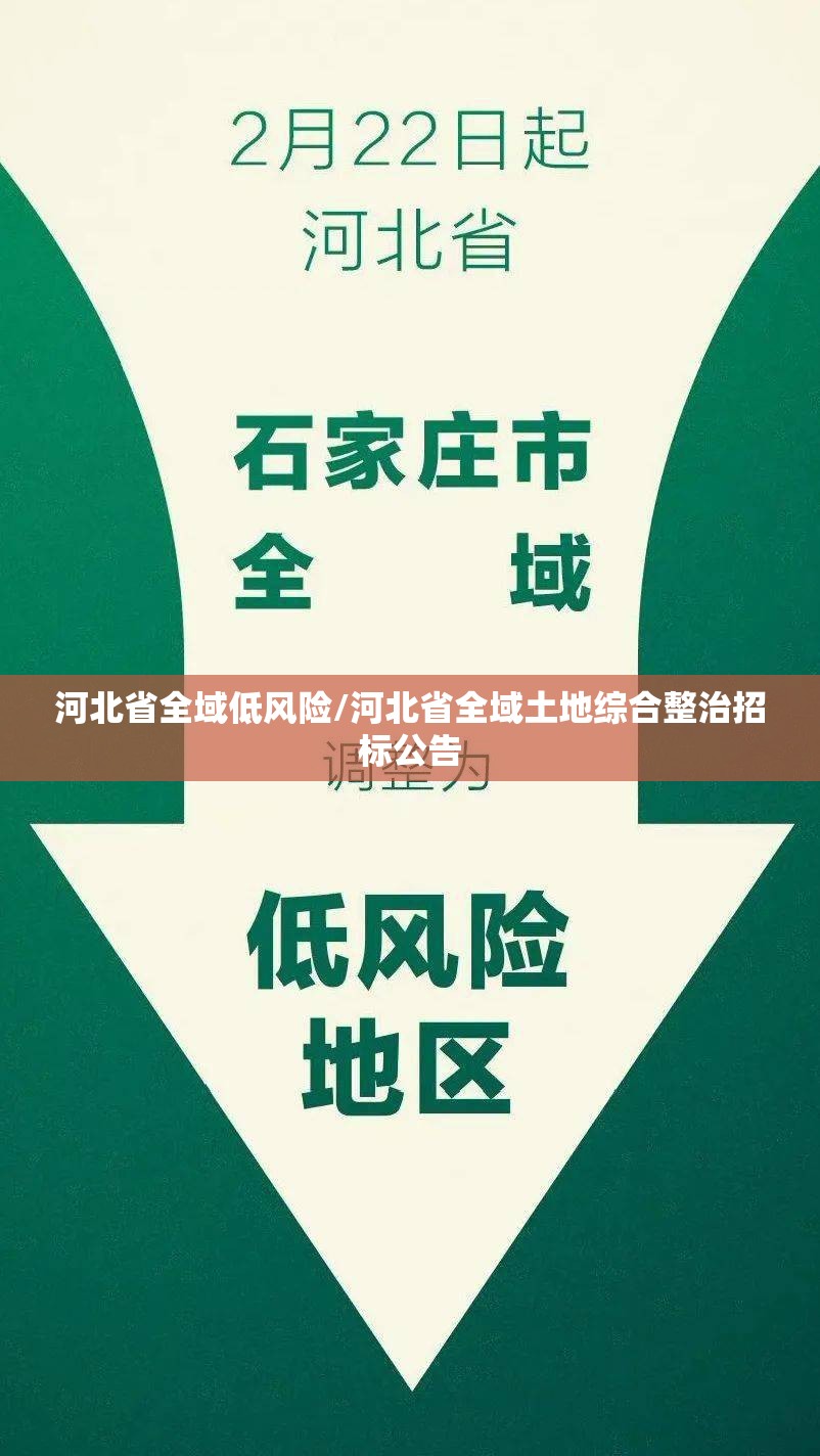 河北省全域低风险/河北省全域土地综合整治招标公告