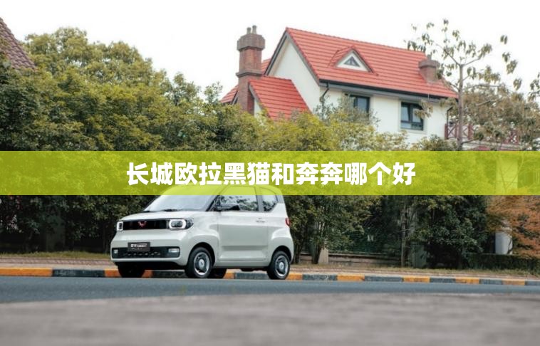 长城欧拉黑猫和奔奔哪个好