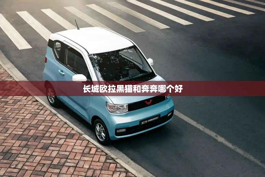 长城欧拉黑猫和奔奔哪个好