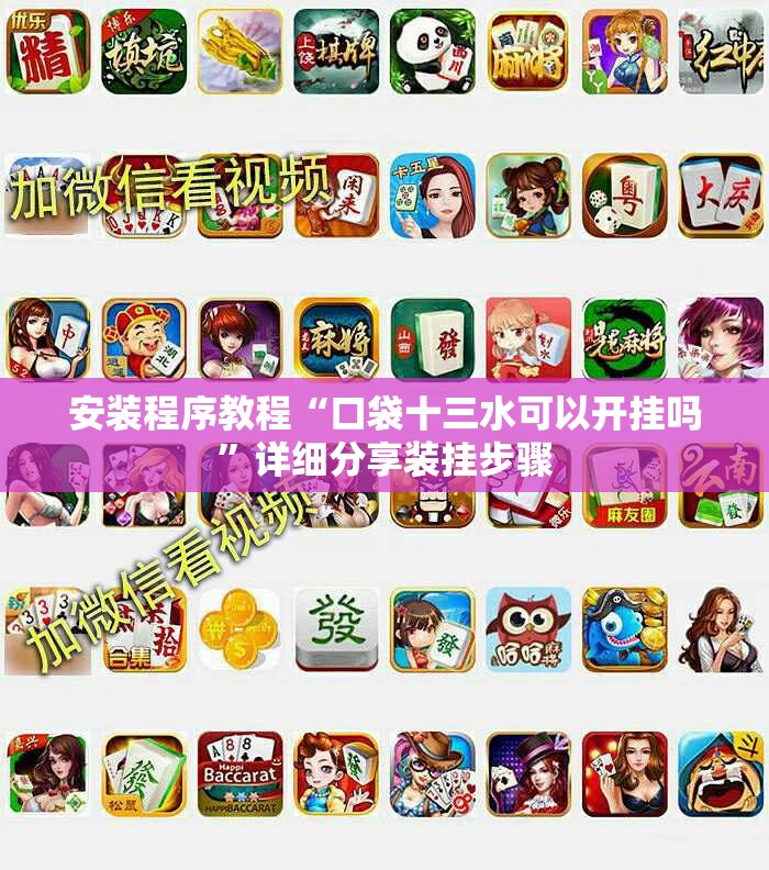 安装程序教程“口袋十三水可以开挂吗”详细分享装挂步骤