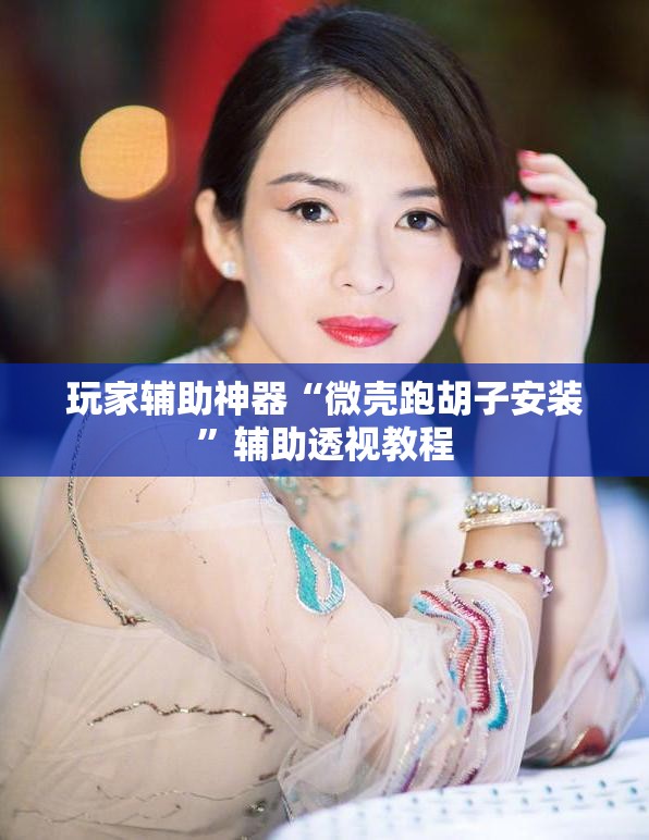 玩家辅助神器“微壳跑胡子安装”辅助透视教程