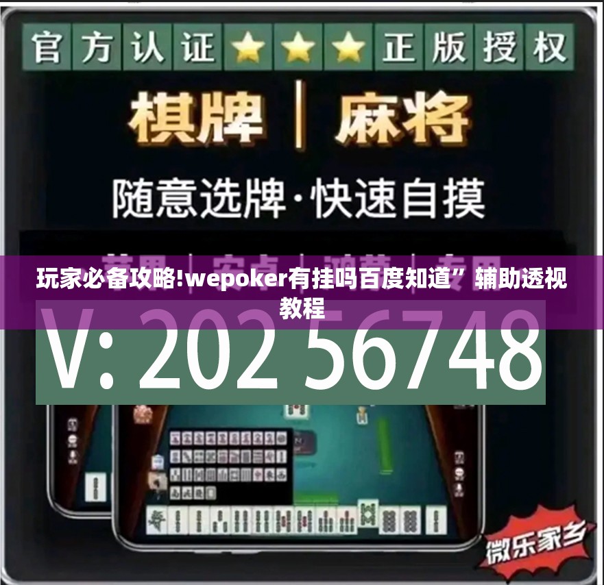 玩家必备攻略!wepoker有挂吗百度知道	”辅助透视教程