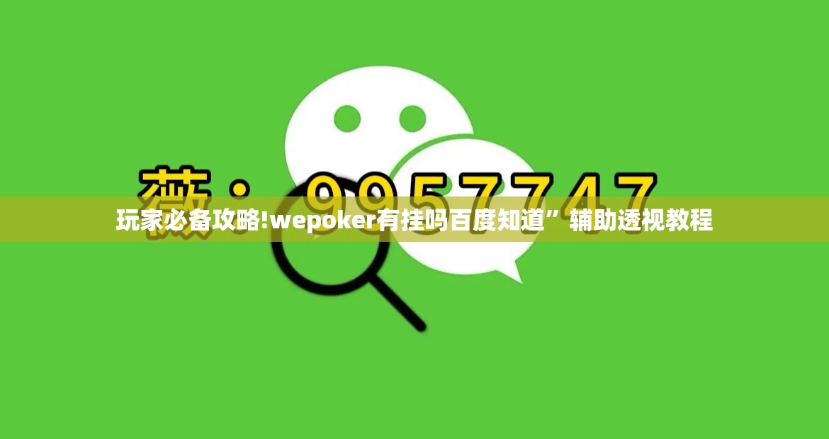 玩家必备攻略!wepoker有挂吗百度知道”辅助透视教程