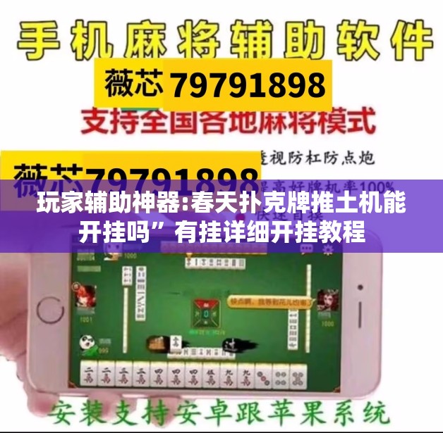 玩家辅助神器:春天扑克牌推土机能开挂吗	”有挂详细开挂教程