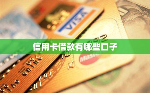 信用卡借款有哪些口子