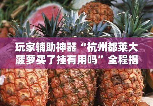 玩家辅助神器“杭州都莱大菠萝买了挂有用吗”全程揭秘开挂教程