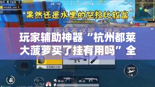 玩家辅助神器“杭州都莱大菠萝买了挂有用吗”全程揭秘开挂教程