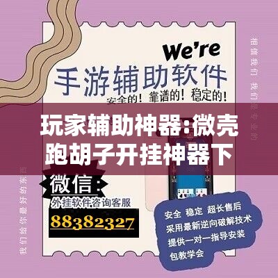 玩家辅助神器:微壳跑胡子开挂神器下载	”详细透视教程