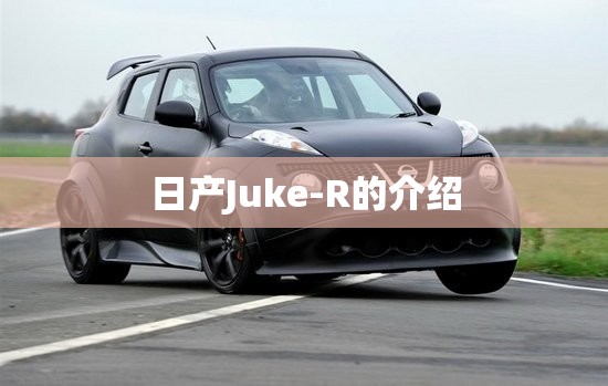 日产Juke-R的介绍 日产Juke-R的介绍
