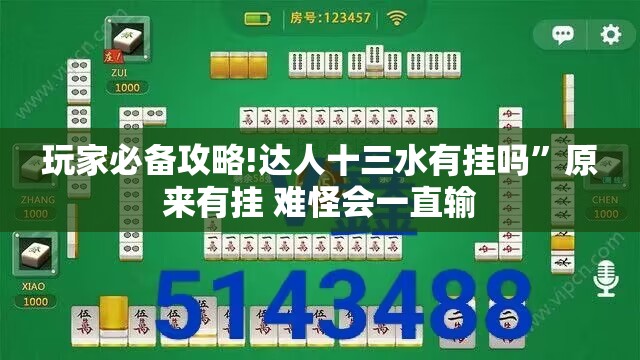 玩家必备攻略!达人十三水有挂吗”原来有挂 难怪会一直输