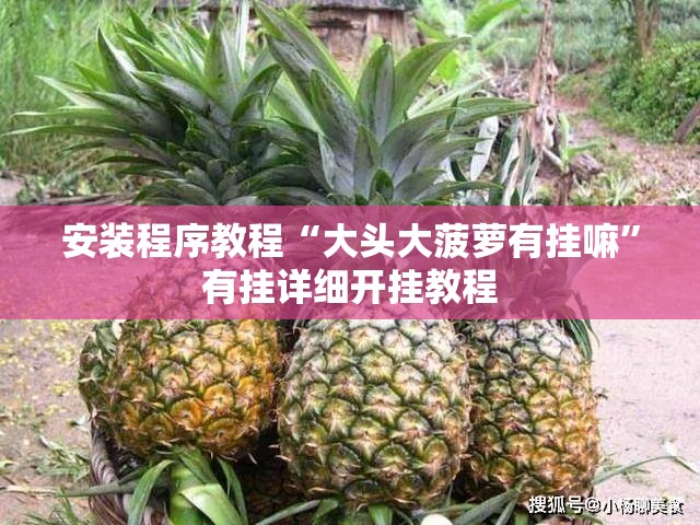 安装程序教程“大头大菠萝有挂嘛	”有挂详细开挂教程