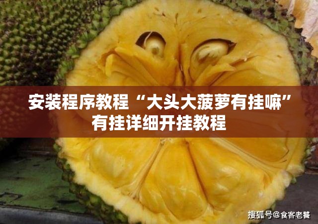 安装程序教程“大头大菠萝有挂嘛”有挂详细开挂教程