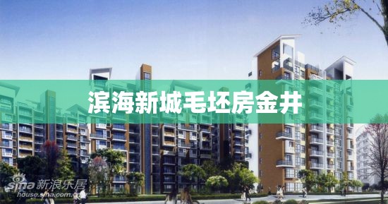 【滨海新城毛坯房金井,晋江金井滨海新城会有项目建设吗】