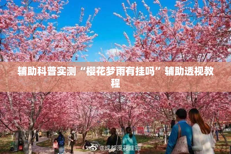 辅助科普实测“樱花梦雨有挂吗	”辅助透视教程