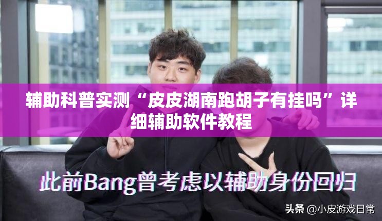 辅助科普实测“皮皮湖南跑胡子有挂吗”详细辅助软件教程