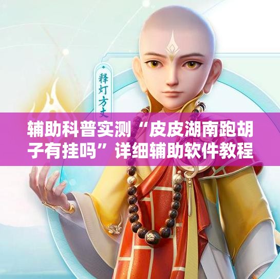 辅助科普实测“皮皮湖南跑胡子有挂吗”详细辅助软件教程