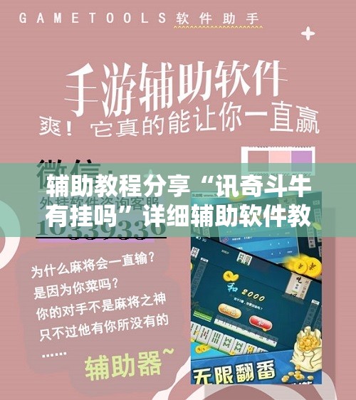 辅助教程分享“讯奇斗牛有挂吗”详细辅助软件教程