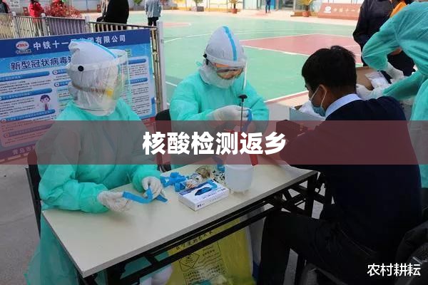 核酸检测返乡/我想到附近的核酸检测点 核酸检测返乡/我想到附近的核酸检测点